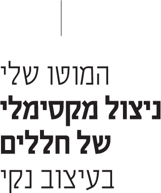 המוטו שלי ניצול מקסימלי של חללים בעיצוב נקי